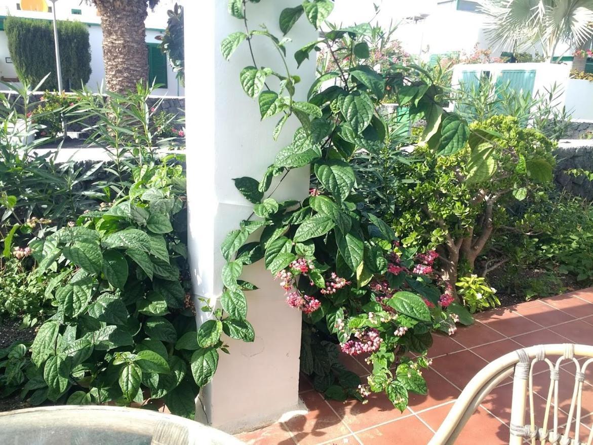 Casa Maracuya Villa Costa Teguise Exteriör bild
