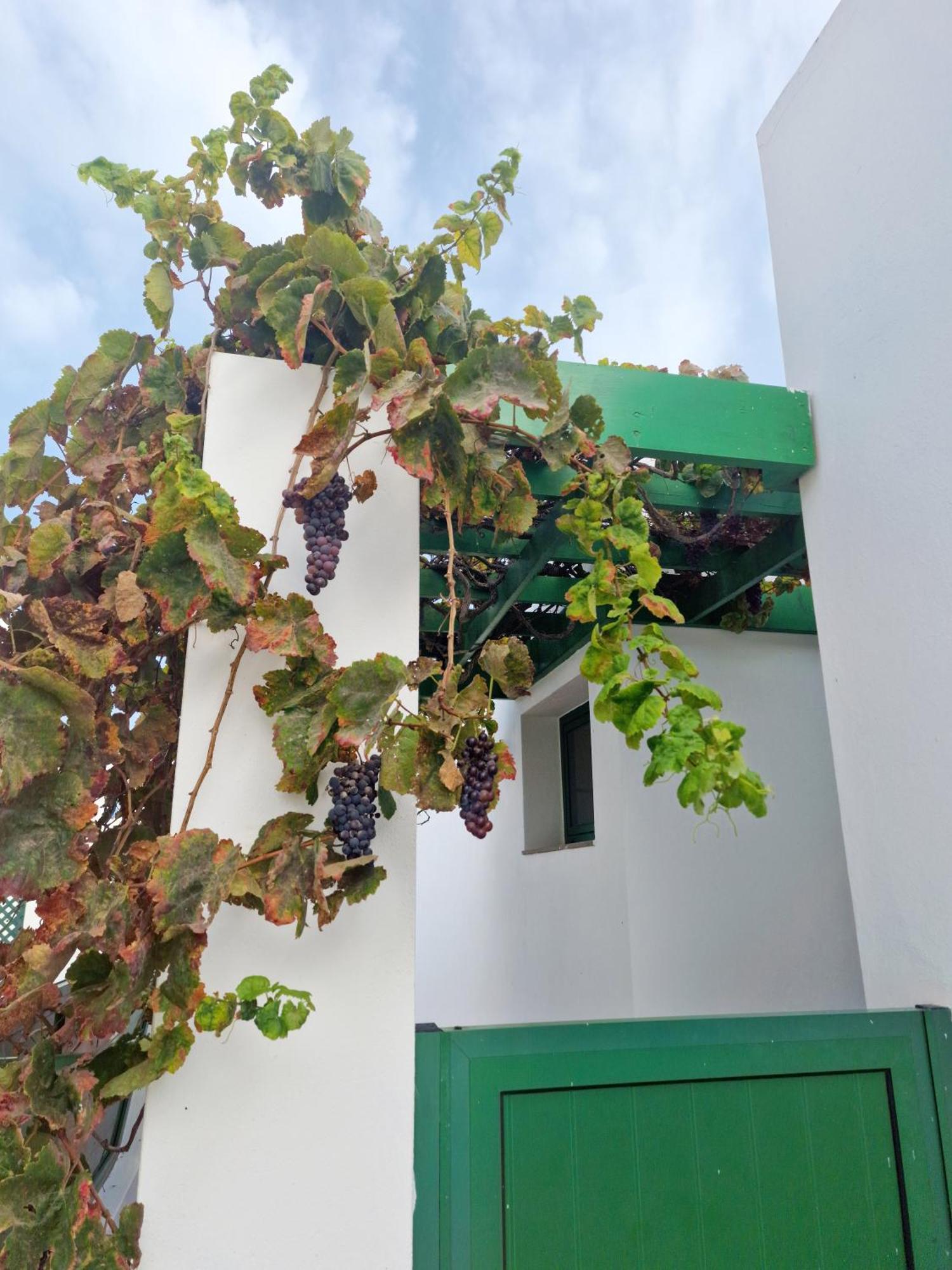 Casa Maracuya Villa Costa Teguise Exteriör bild
